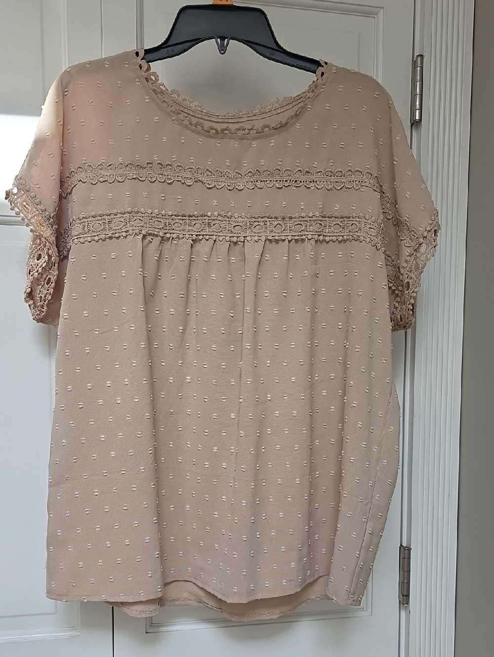 Amazon Beige Lace-Trim Swiss Dot Blouse
